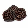 Lotus Pods