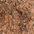 Girl Dirt Isopod Substrate