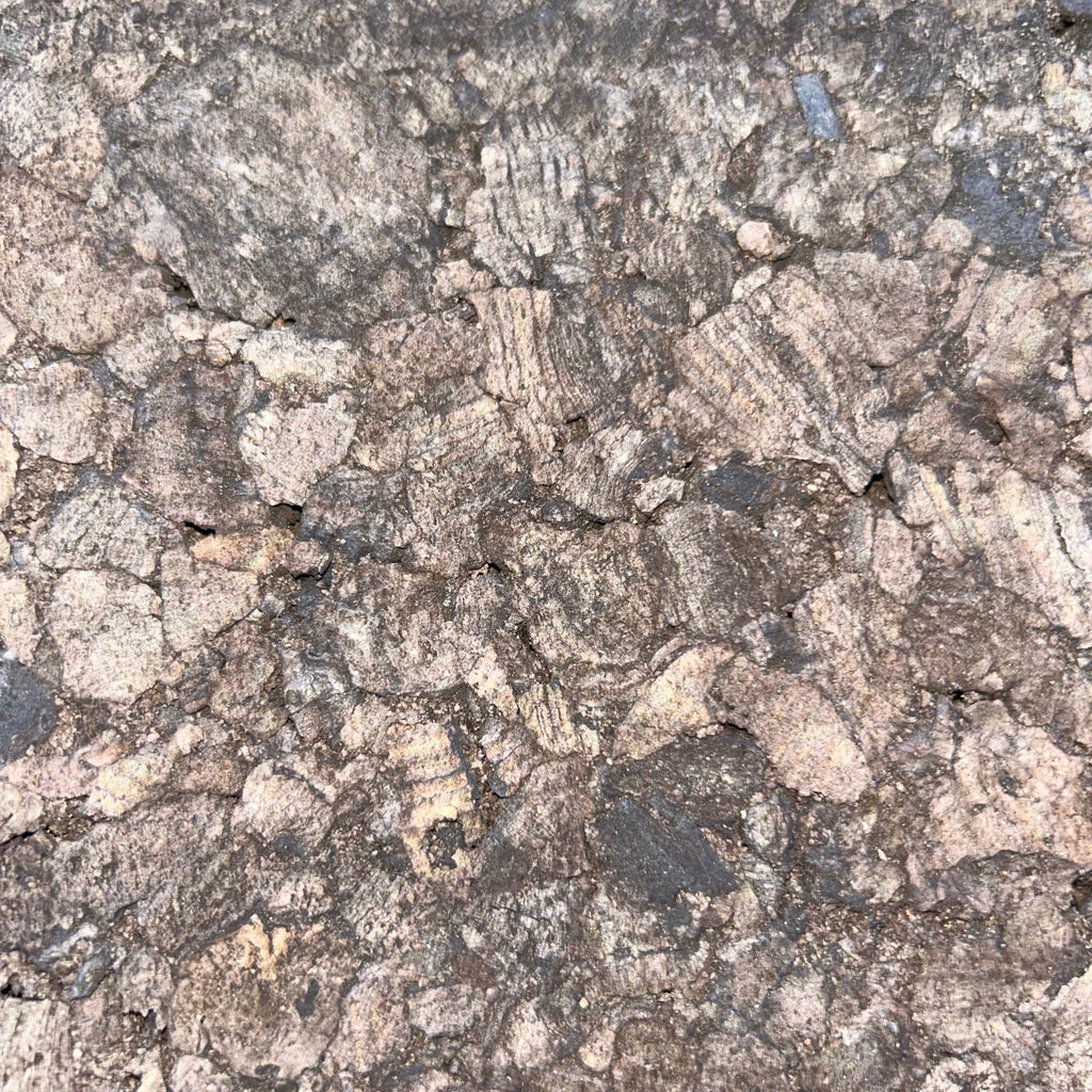 Carbonized Cork Panels
