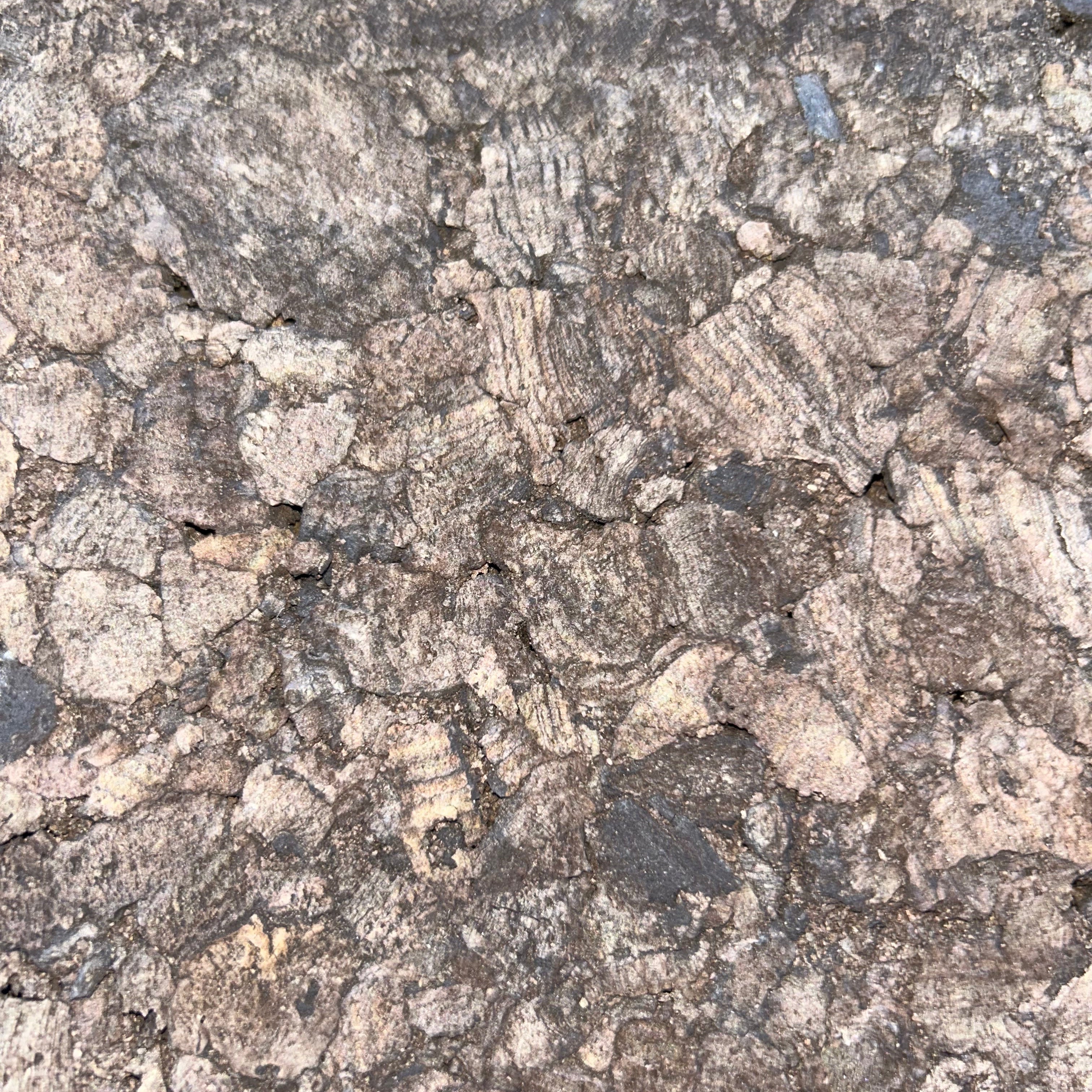 Carbonized Cork Panels