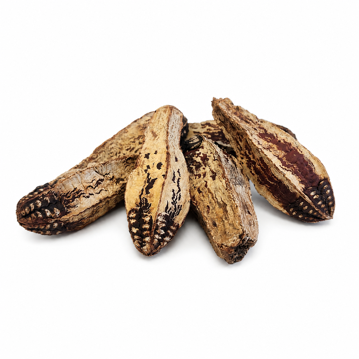 Mahogany Pods