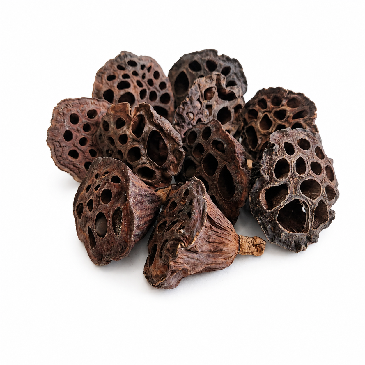 Mini Lotus Pods (3 pack)