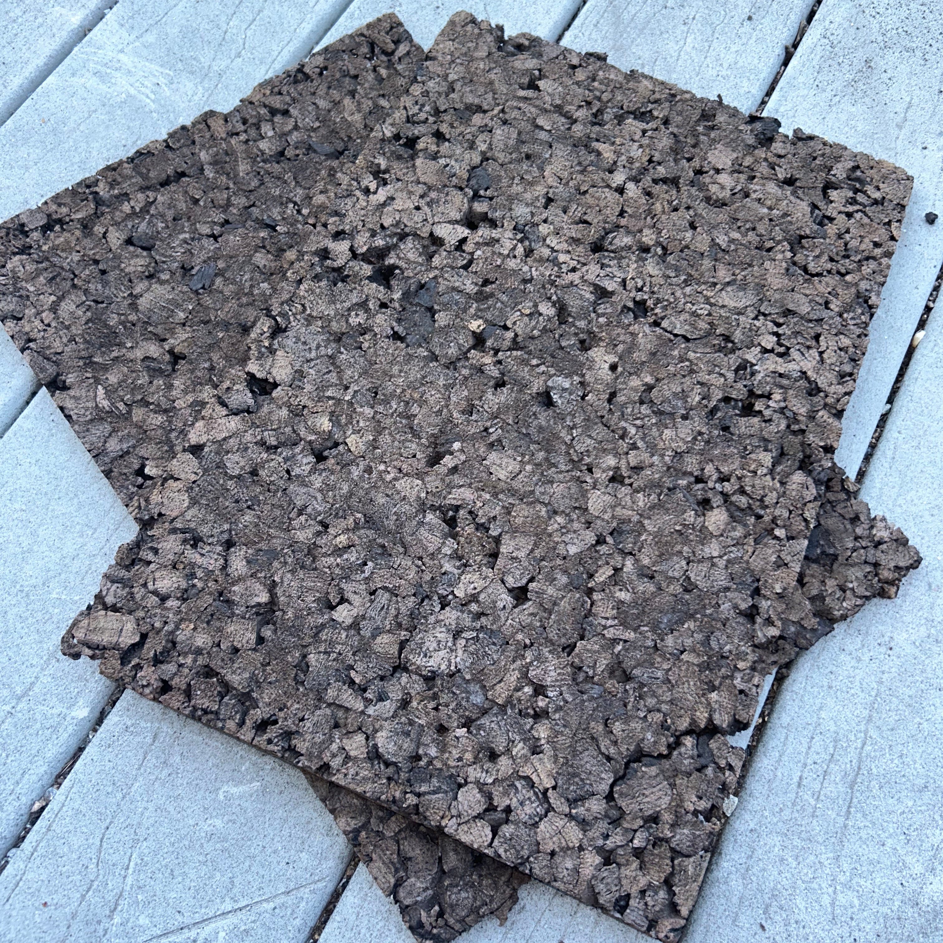 Carbonized Cork Panels