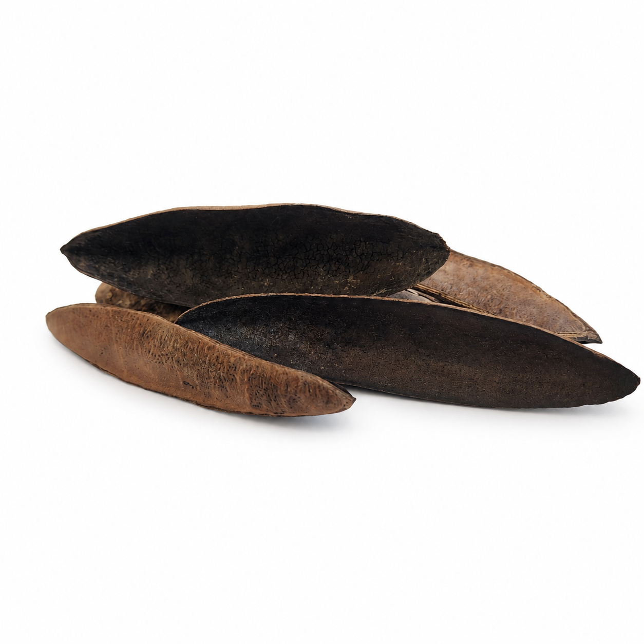 Triangular (Antiquorum) Pods