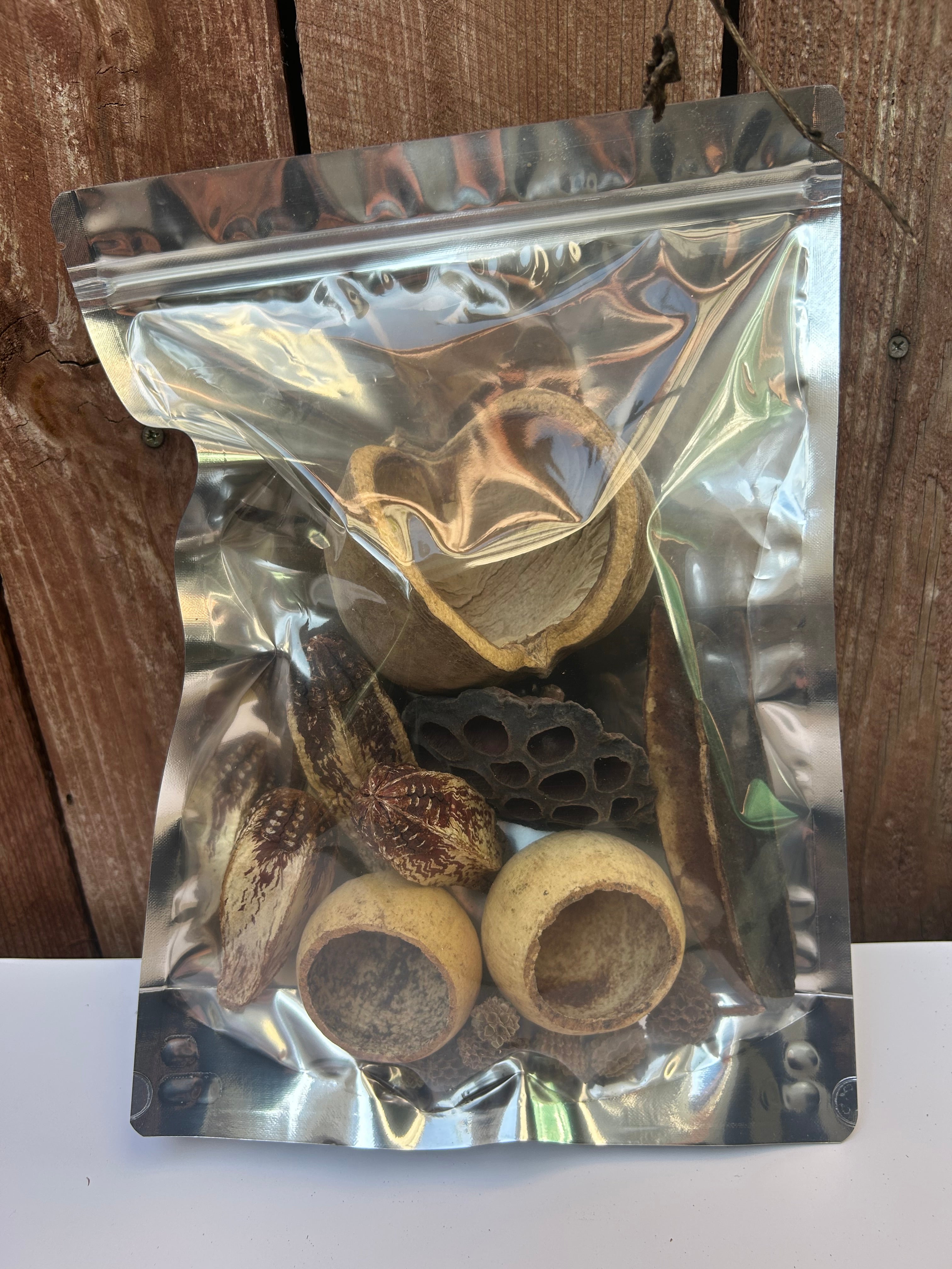 Forest Floor Botanicals
