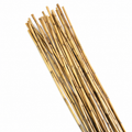 Natural River Cane