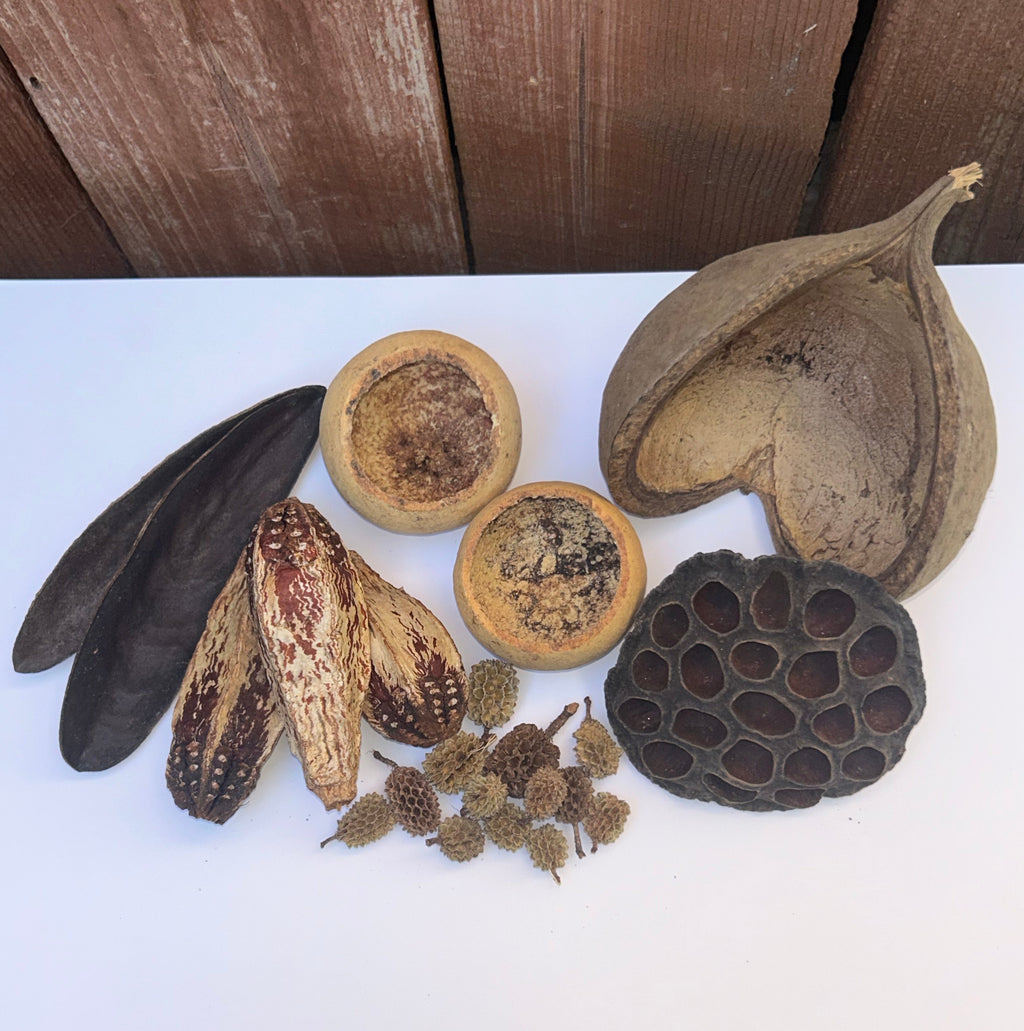 Forest Floor Botanicals