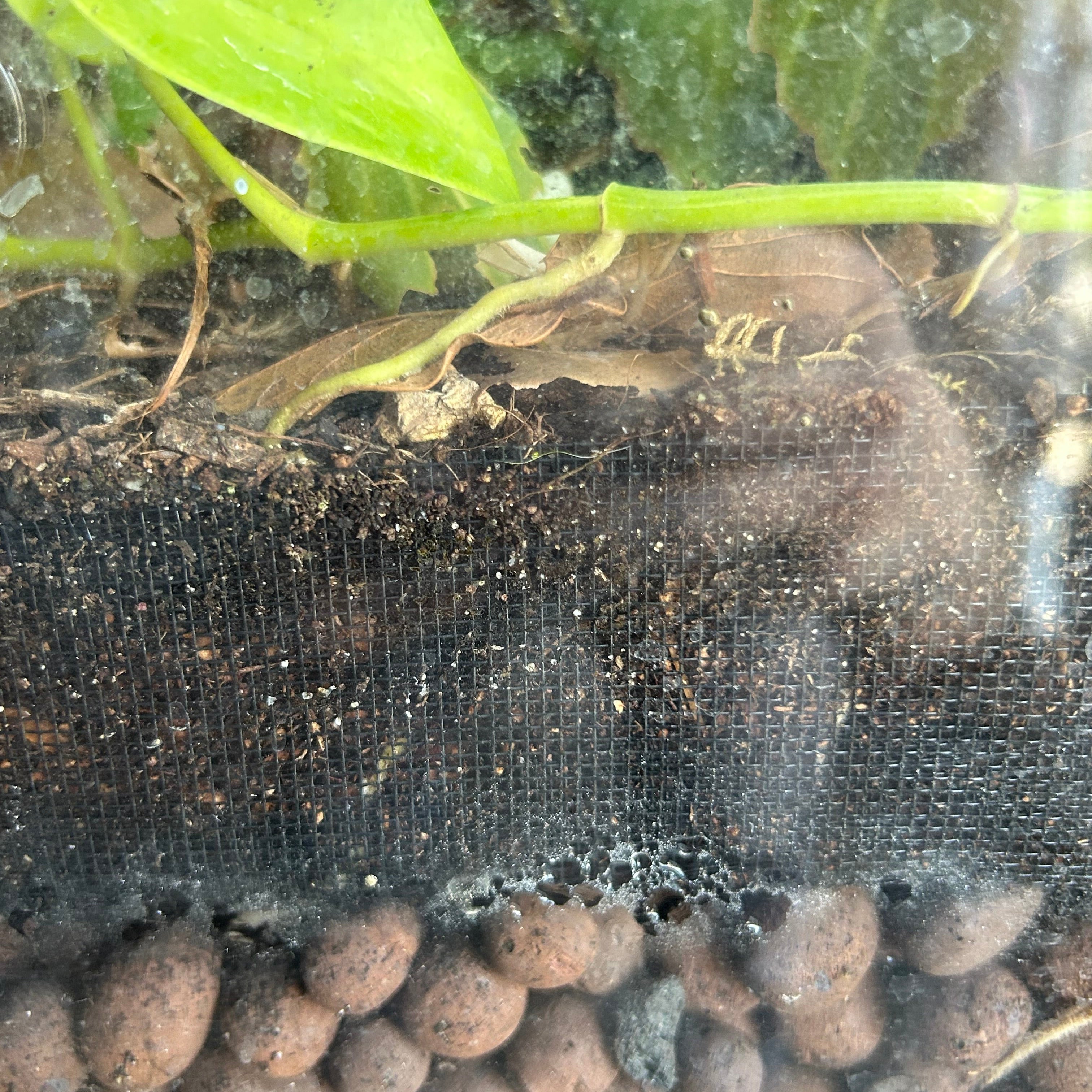 Custom Cut Substrate Barrier