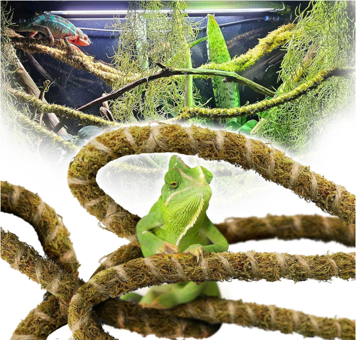 Duspro Bendable Mossy Reptile Vine