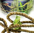 Duspro Bendable Mossy Reptile Vine