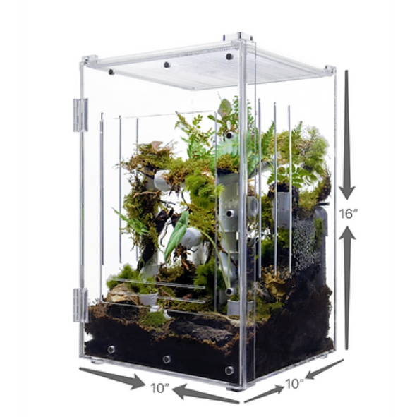 HerpCult Acrylic Front-Opening Enclosure - Large