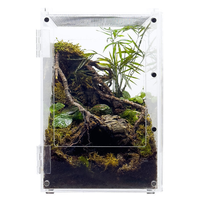 HerpCult Acrylic Front-Opening Enclosure (Screen Top) - Small